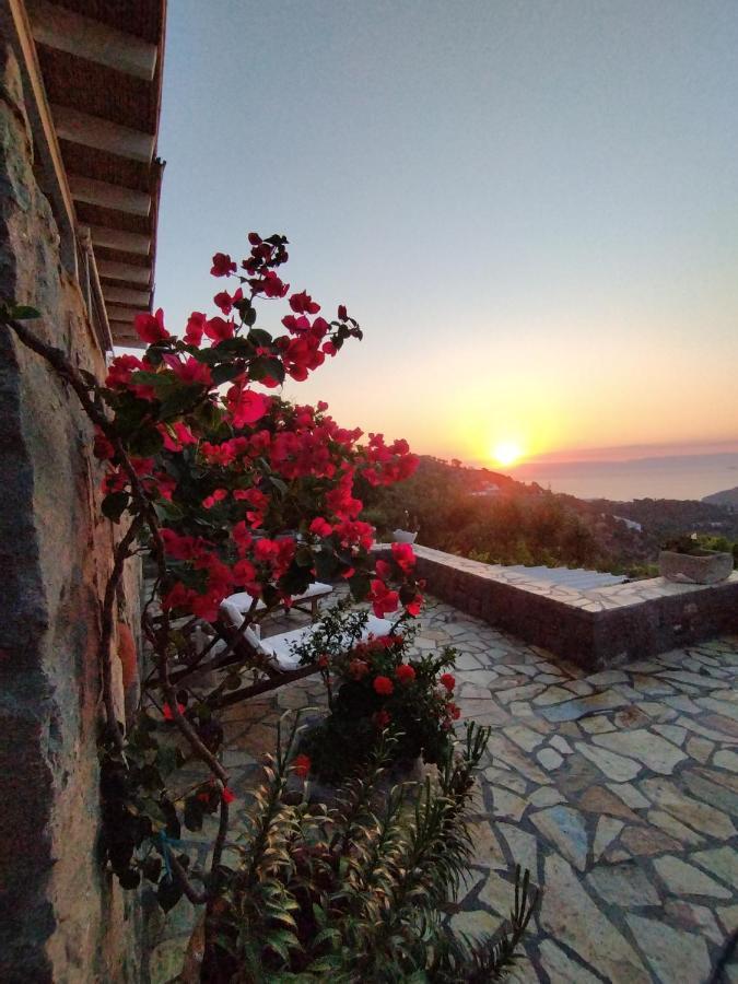 Patmos Chora Traditional Villa Genadio エクステリア 写真